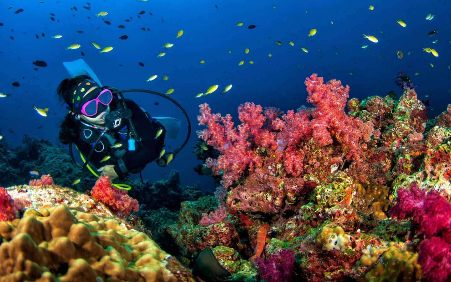 Snoopy Island Marine & Diving Haven