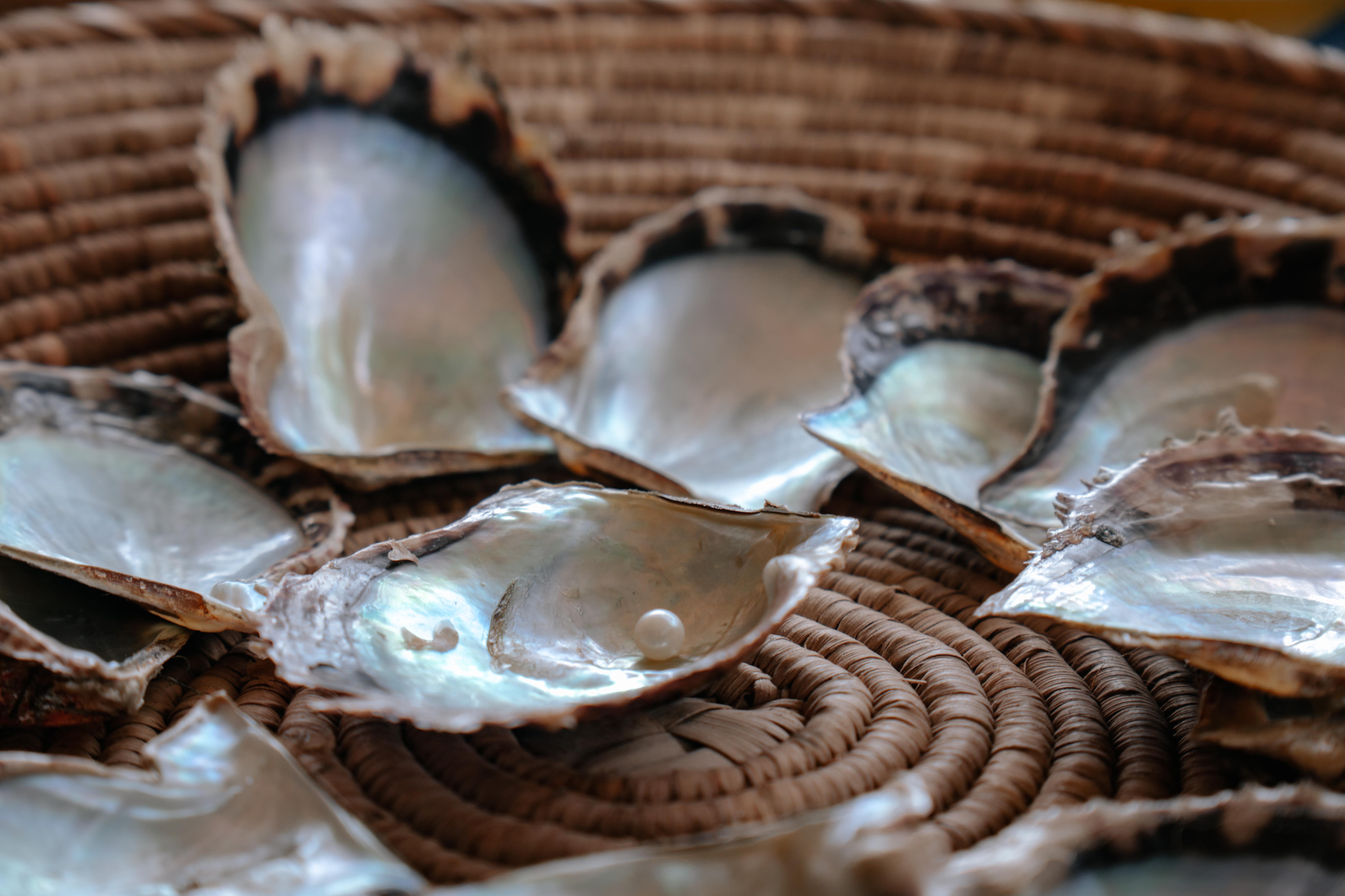 Suwaidi Pearls & Mangrove Lagoon