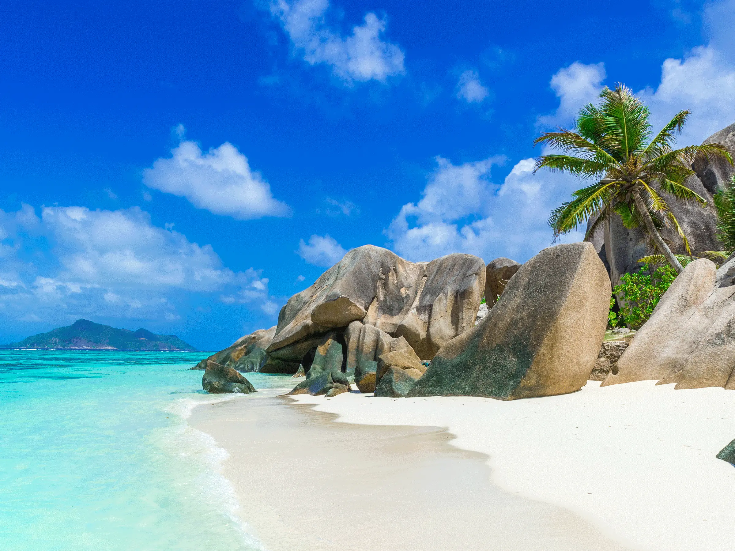 Curated destination