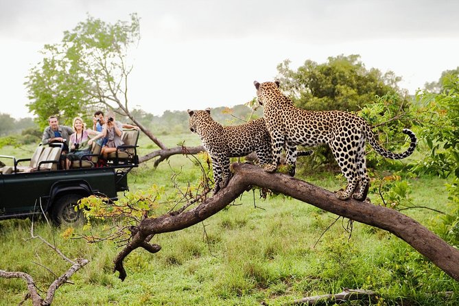 Yala National Park Safari