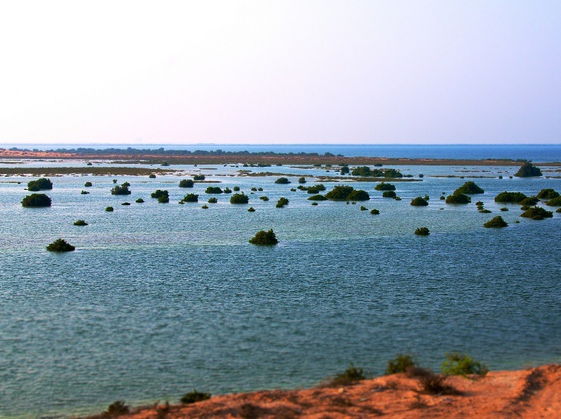 Al Sinniyah Island Archaeological Sanctuary